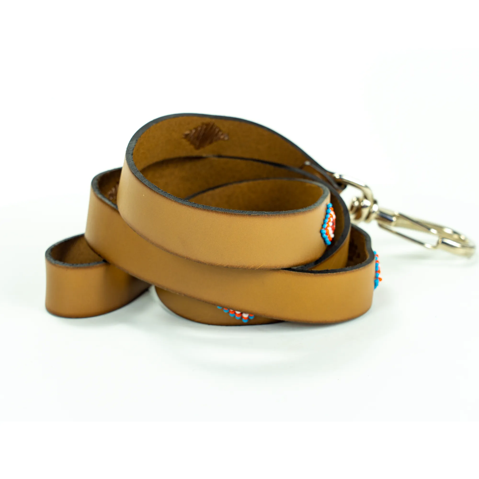 Blue Vogue Dog Leash