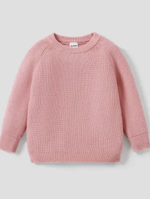 Cozy Sweater: Pink