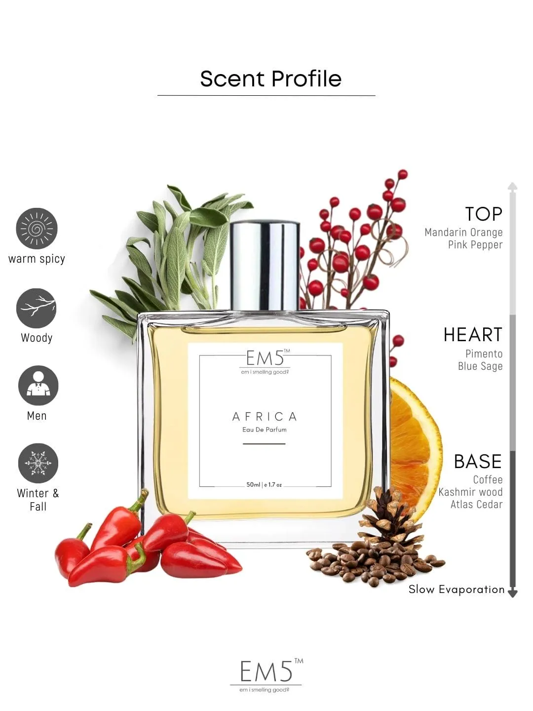 EM5™ Africa Perfume for Men | Eau De Parfum Spray | Citrus Warm Spicy Fragrance Accords | Luxury Gift for Him | 50 ml