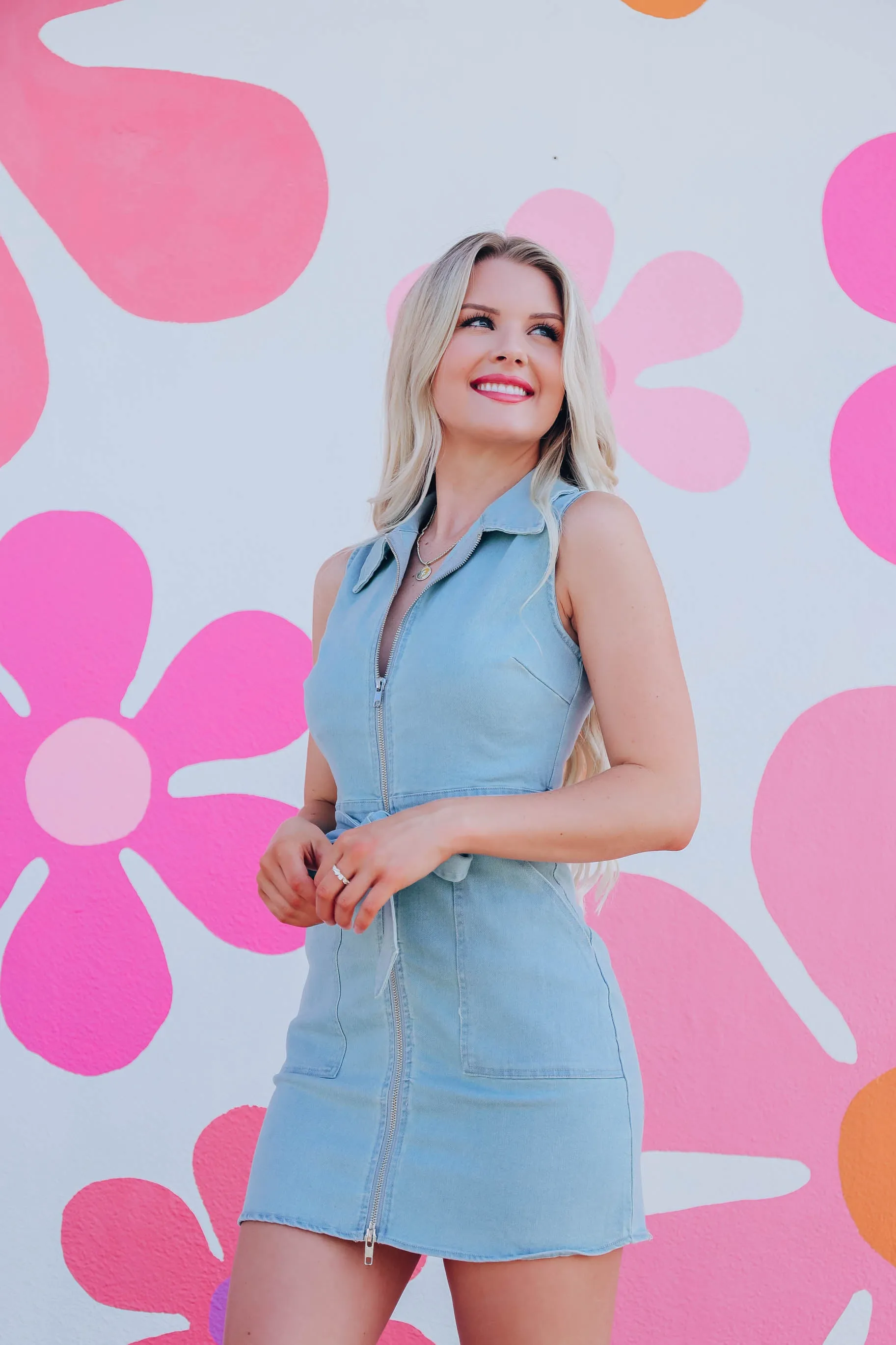 Erin Fitted Denim Dress