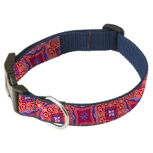 Hebron - Dog Collar