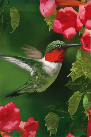 Hummingbird Closeup Suede Garden Flag,141634an