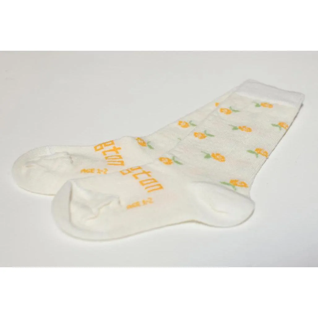 Lamington Baby Merino Knee High Socks - Buttercup