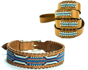 Matching leash/dog collar Rio Sambboho Bundle