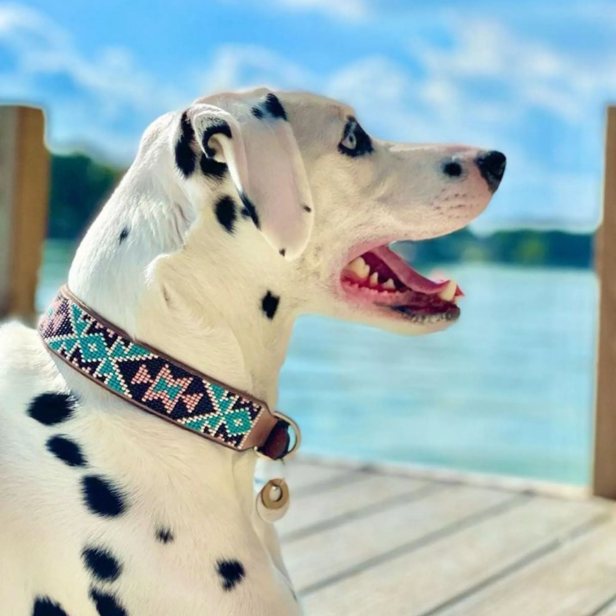 Matching leash/dog collar Santorini Sambboho Bundle
