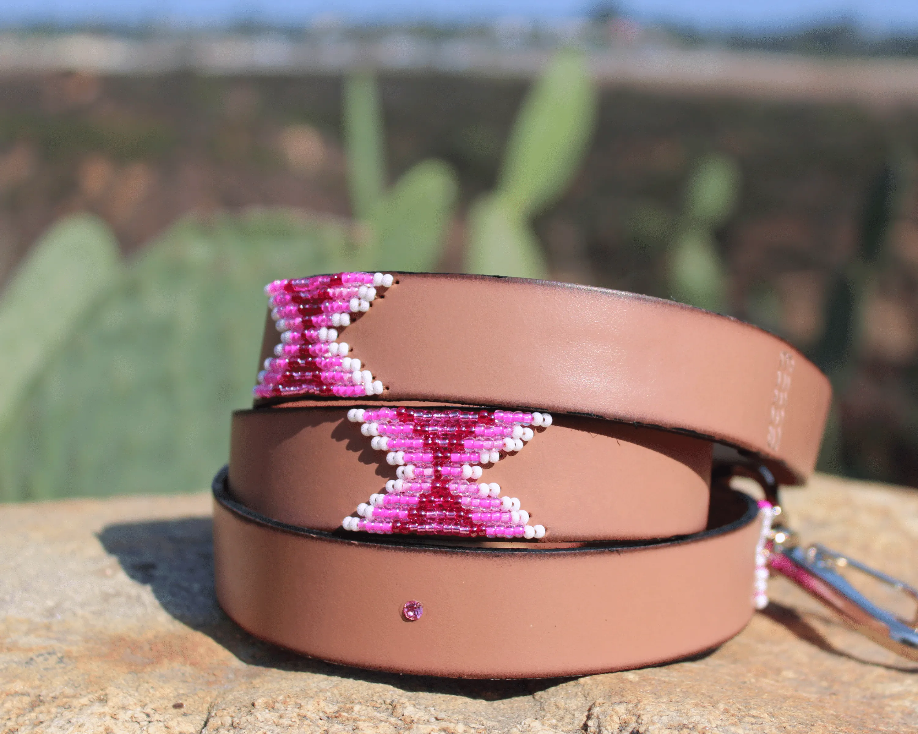 Melrose Sambboho Dog Leash