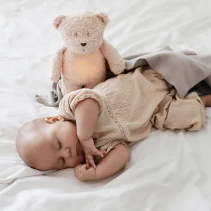 Organic Cotton Humming Bear with Night Light (Rose)