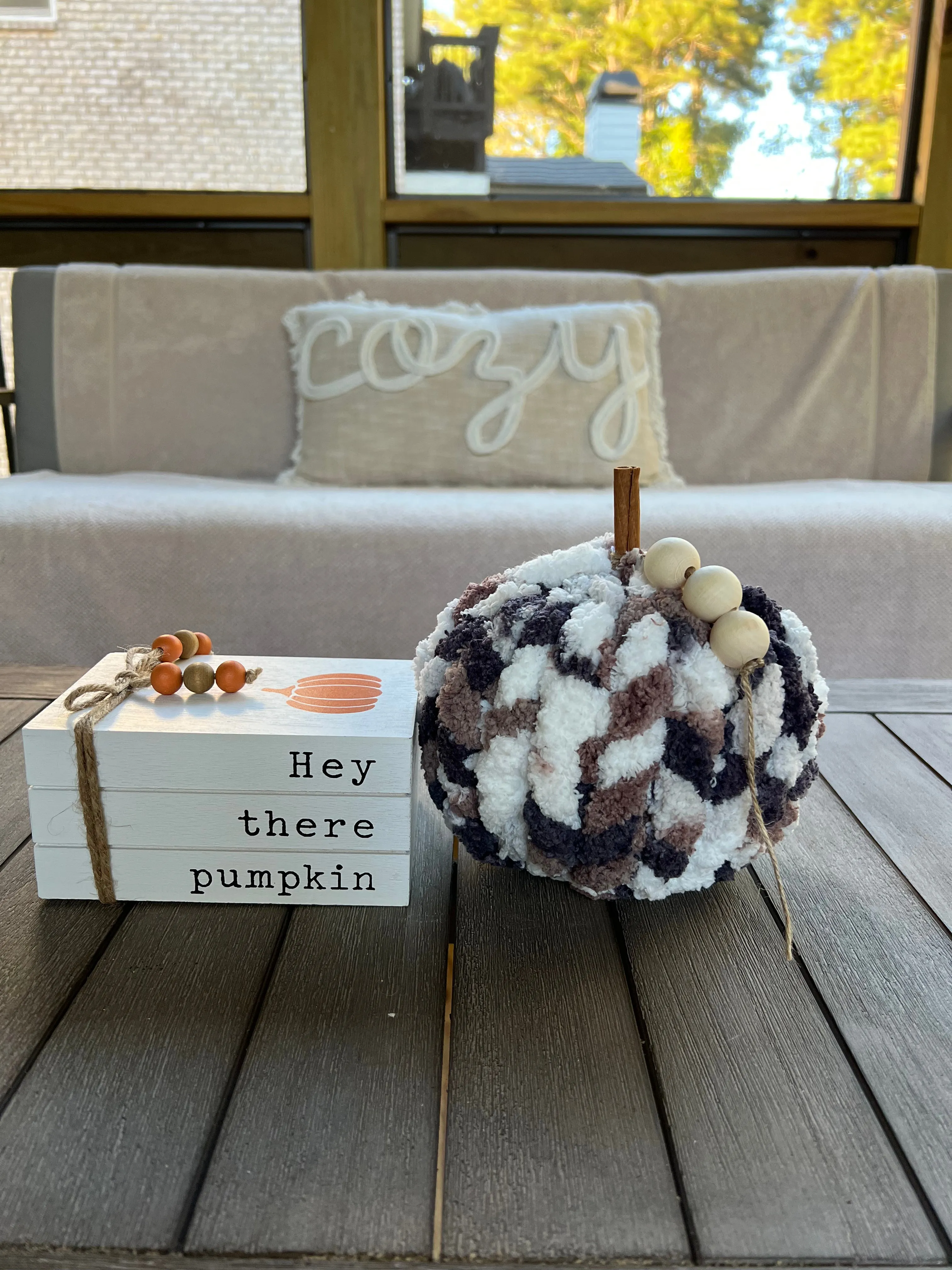 S’mores Cozy Pumpkin