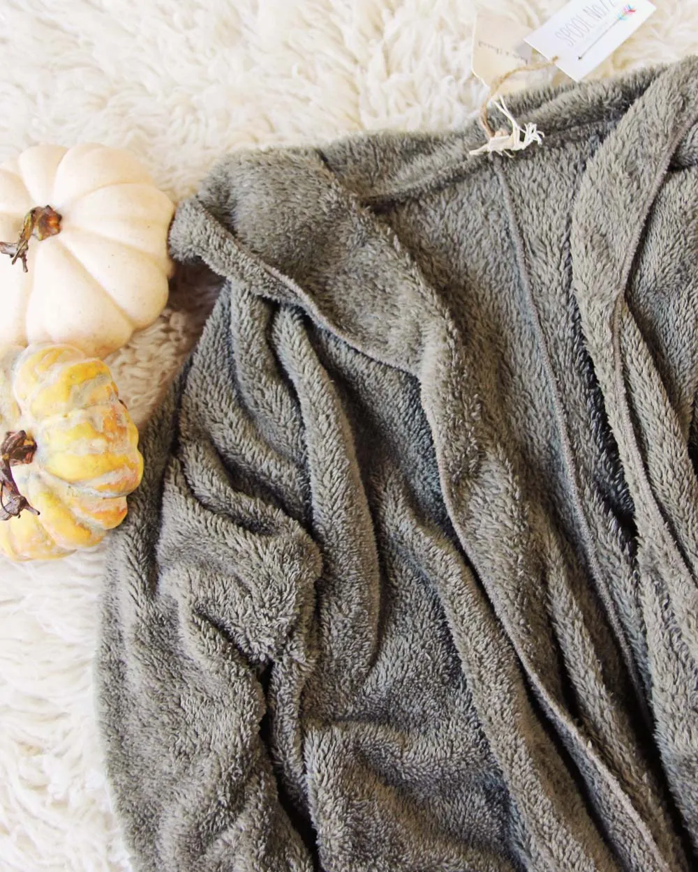 Softest Teddy Hoodie in Sage