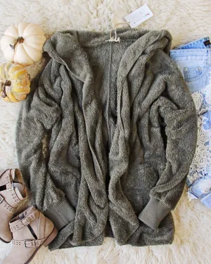 Softest Teddy Hoodie in Sage