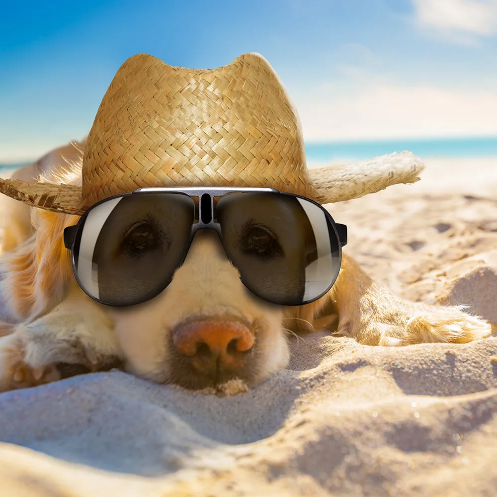 Sol Plus - Pets