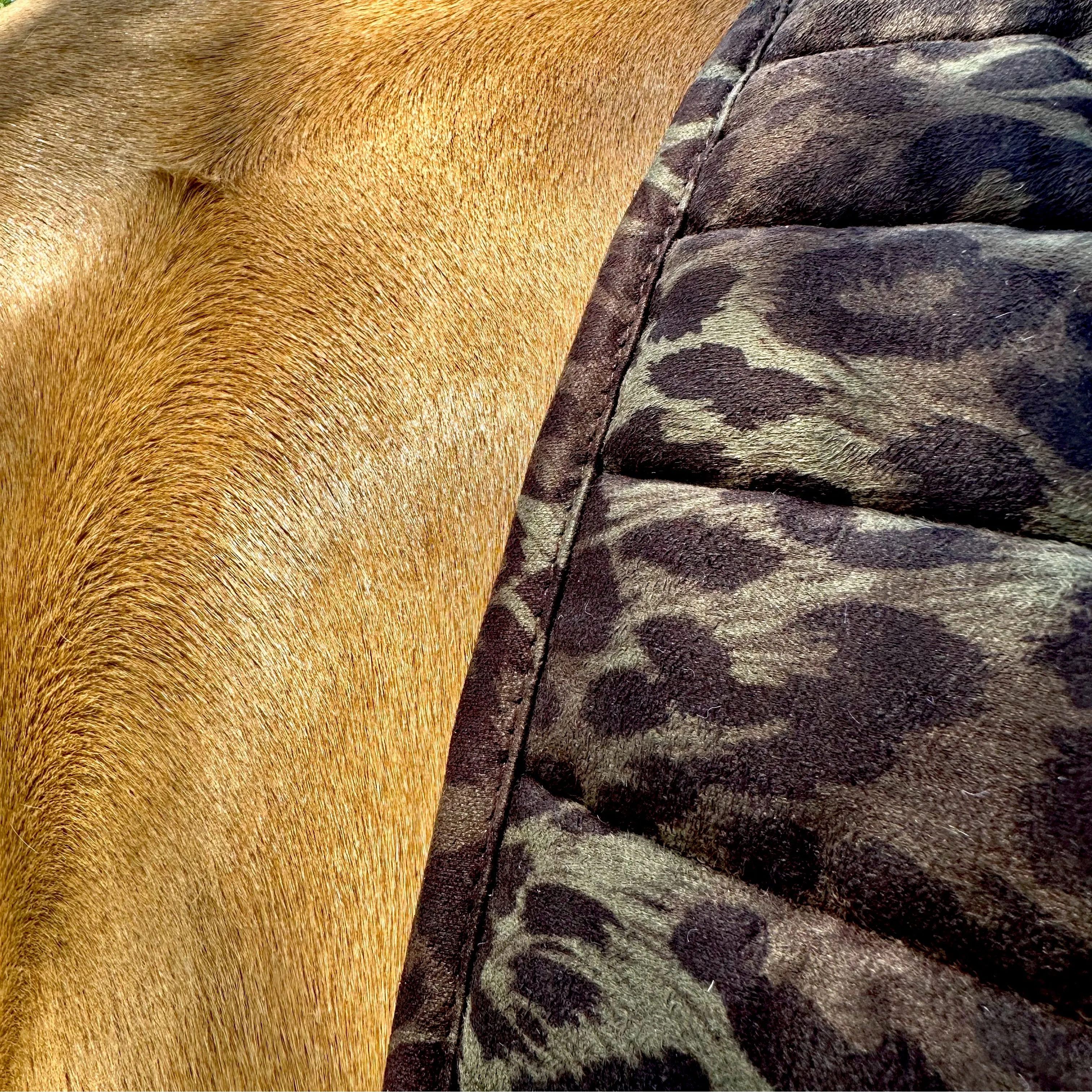 Suede Tech Dressage Saddle Pad Animal Print