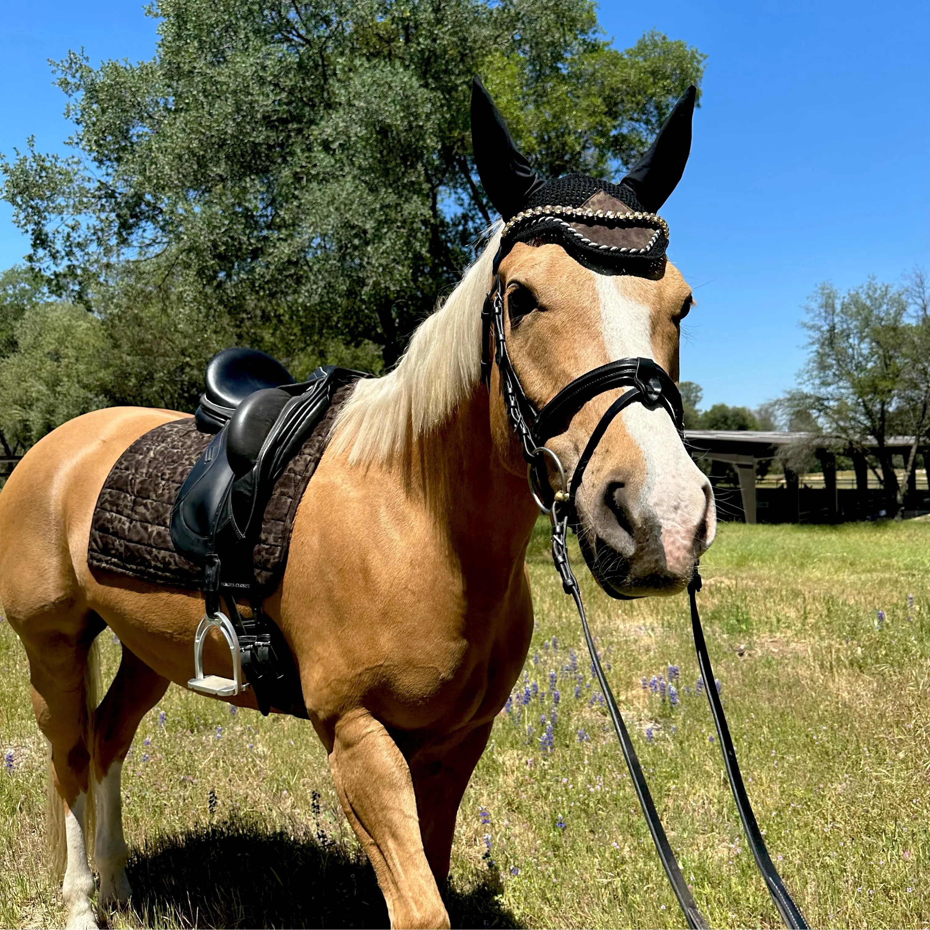 Suede Tech Dressage Saddle Pad Animal Print