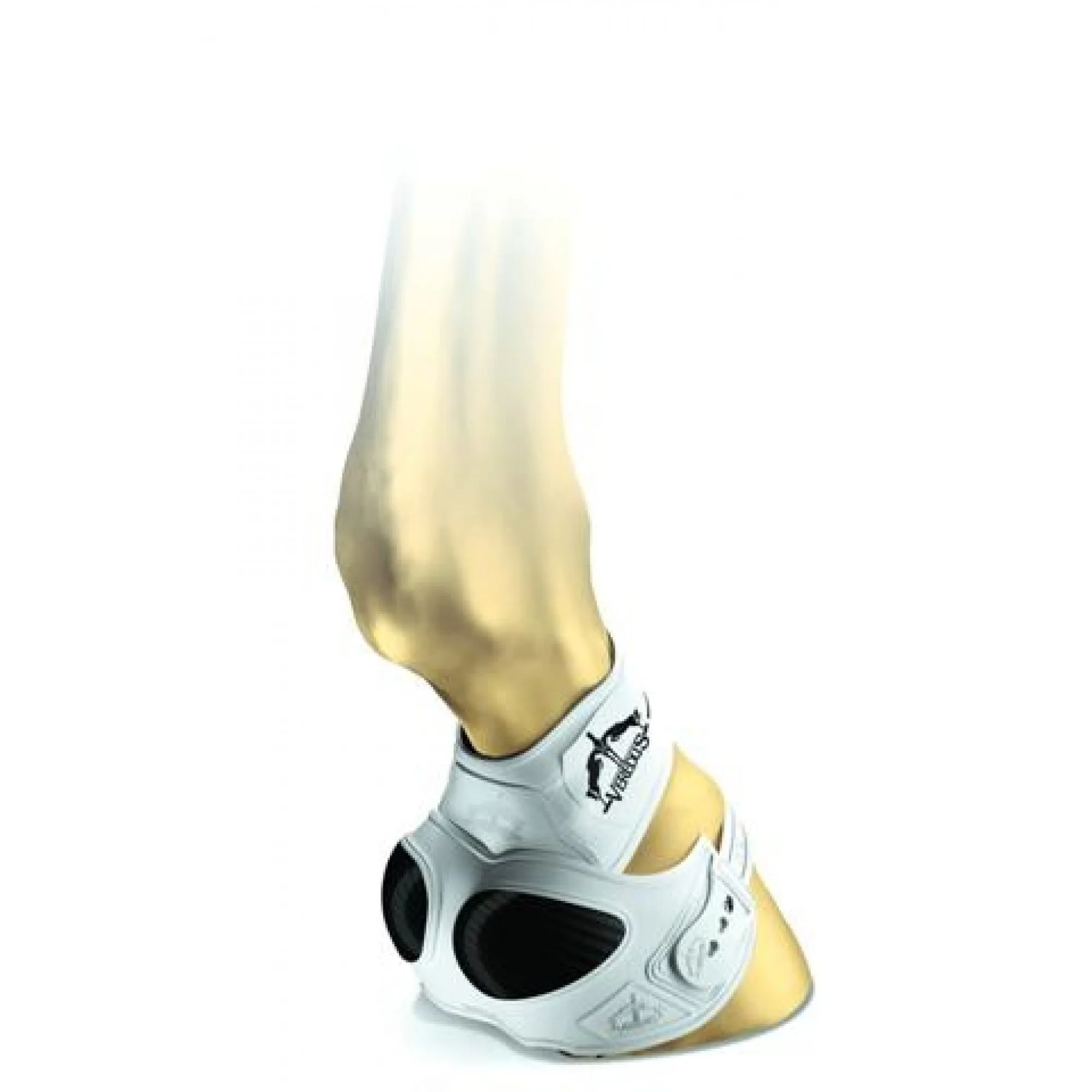 Veredus Piaffe Shield Boot