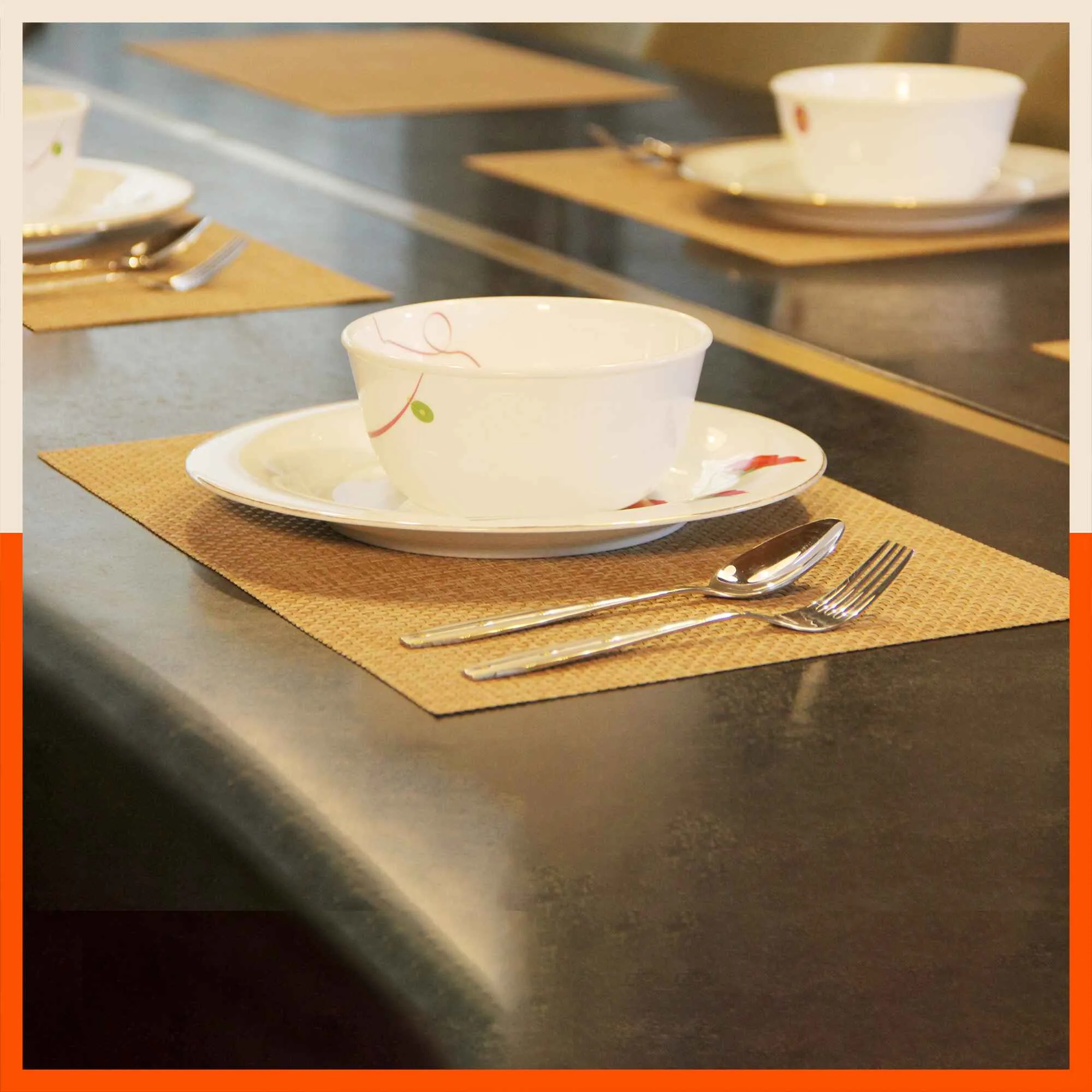 Woven PVC Table Mats / Placemats for Dining Table at Home (ALMA Set of 6)